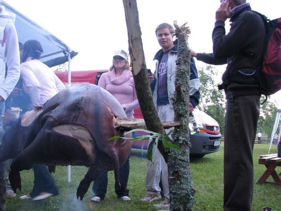 Suislepa Paadipäev 2008