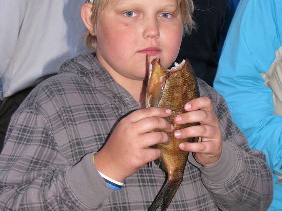 Suislepa Paadipäev 2011