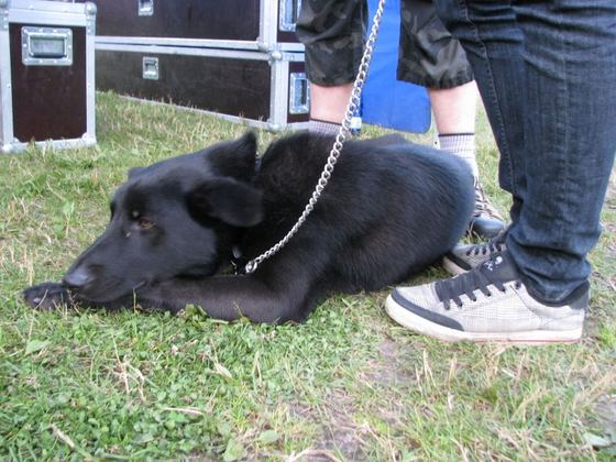 Suislepa Paadipäev 2012