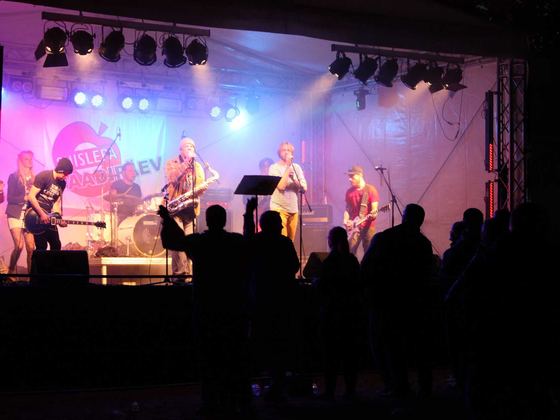 Suislepa Paadipäev 2015