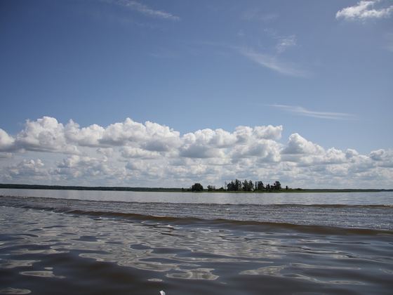 Suislepa Paadiselts